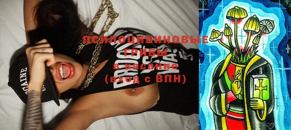 стафф Вяземский
