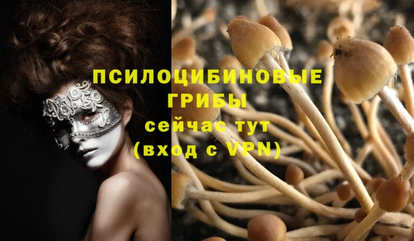 ALPHA PVP Вязьма